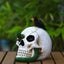 Skull Ornament With Green Snake Crow Personalized Halloween Resin Crafts For Ha Carousel 4