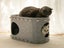 Cat Cave Bed for Indoor Foldable Cat Tunnel Hideaway Bed Pet Cat House Grey Carousel 3