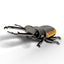 Eugy: Stag Beetle - 3D Cardboard Model Carousel 3