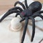 Spider Money Surprise Box Rubber Spider Prank Box Handmade Spider Prank Box Fun Carousel 4