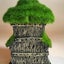 Aquarium Fish Tank Landscaping Flocking Shelter Tree Root Small House Rockery R Carousel 5