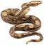 Loading Image 1 of 5