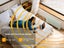 Panel Heater 2.4kW Premium Glass Smart Heater - Remote Control and Wifi Enabled Carousel 7