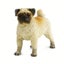 Loading Image 1 of 7
