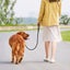 Dog Leash Training Lead Outdoor Long Leash Carousel 4