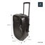 Portable PA 150W with Mixer + USB/SD/FM/BT Carousel 6