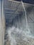 Timber Drying Kiln Carousel 4