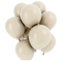 Party Matte Balloons 100 Pack 25Cm - Cream Carousel 1