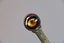 Handcrafted creatively designed third eye bronze tone metal ruler bookmarks Carousel 3