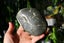 Natural pictured tree patterned rock display viewing stione collectable Carousel 4
