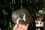 Natural pictured tree patterned rock display viewing stione collectable Carousel 5