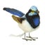 Loading Image 1 of 3