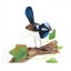 Loading Image 2 of 3