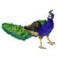 Loading Image 1 of 3