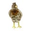 Loading Image 2 of 3