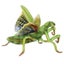 Loading Image 1 of 1