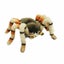 Loading Image 1 of 2