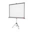 Nobo 16:10 Free Standing Projection Screen on Tripod 1750mm x 1150mm Carousel 1