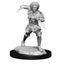 Magic the Gathering Unpainted Miniatures: Kaya Carousel 1