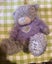 Blue Nose Bear Carousel 1