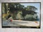 Cathedral Cove Coromandel NZ Postcard P3231 ... PC 1875 Carousel 1