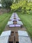 Bees Beehives Nucs Package Bees Queen Bees Carousel 12