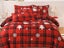 2Pcs Christmas Printed Bedding Set Single Quilt Cover Pillowcases Set - Style 2 Carousel 2