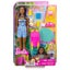 Barbie Brooklyn Camping Doll Playset Carousel 1