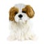 Shih Tzu Puppet 37cm Carousel 1