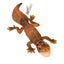 Loading Image 2 of 3