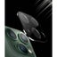 2x iPhone 12 / Pro / Max / 11 Pro Back Camera Lens Tempered Glass Screen Prot... Carousel 3