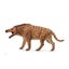 Loading Image 1 of 1