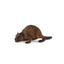 Loading Image 1 of 1