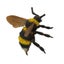 Loading Image 1 of 1