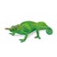 Loading Image 1 of 1