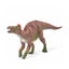 Loading Image 1 of 1