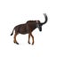Loading Image 4 of 4