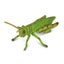Loading Image 1 of 1