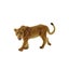 Loading Image 1 of 1