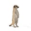 Loading Image 1 of 1