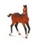 Loading Image 1 of 4