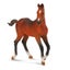 Loading Image 4 of 4