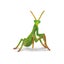 Loading Image 1 of 1