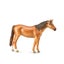Loading Image 1 of 1