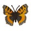 Loading Image 1 of 1