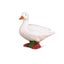 Loading Image 1 of 1