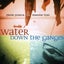 Prem Joshua & Manish Vyas - Water Down the Ganges Carousel 1
