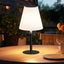 45CM LED Table Lamp Solar Carousel 1