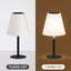 45CM LED Table Lamp Solar Carousel 3