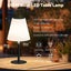 45CM LED Table Lamp Solar Carousel 4